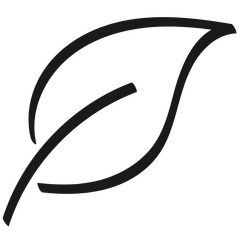 Sin fragancias ni parabenos